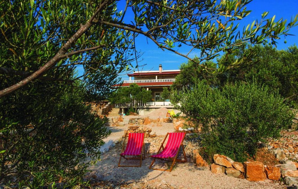 Luxury Villa Vela Rina Мали Дървеник Екстериор снимка